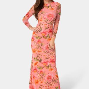 Long Sleeve Mesh Maxi Dress